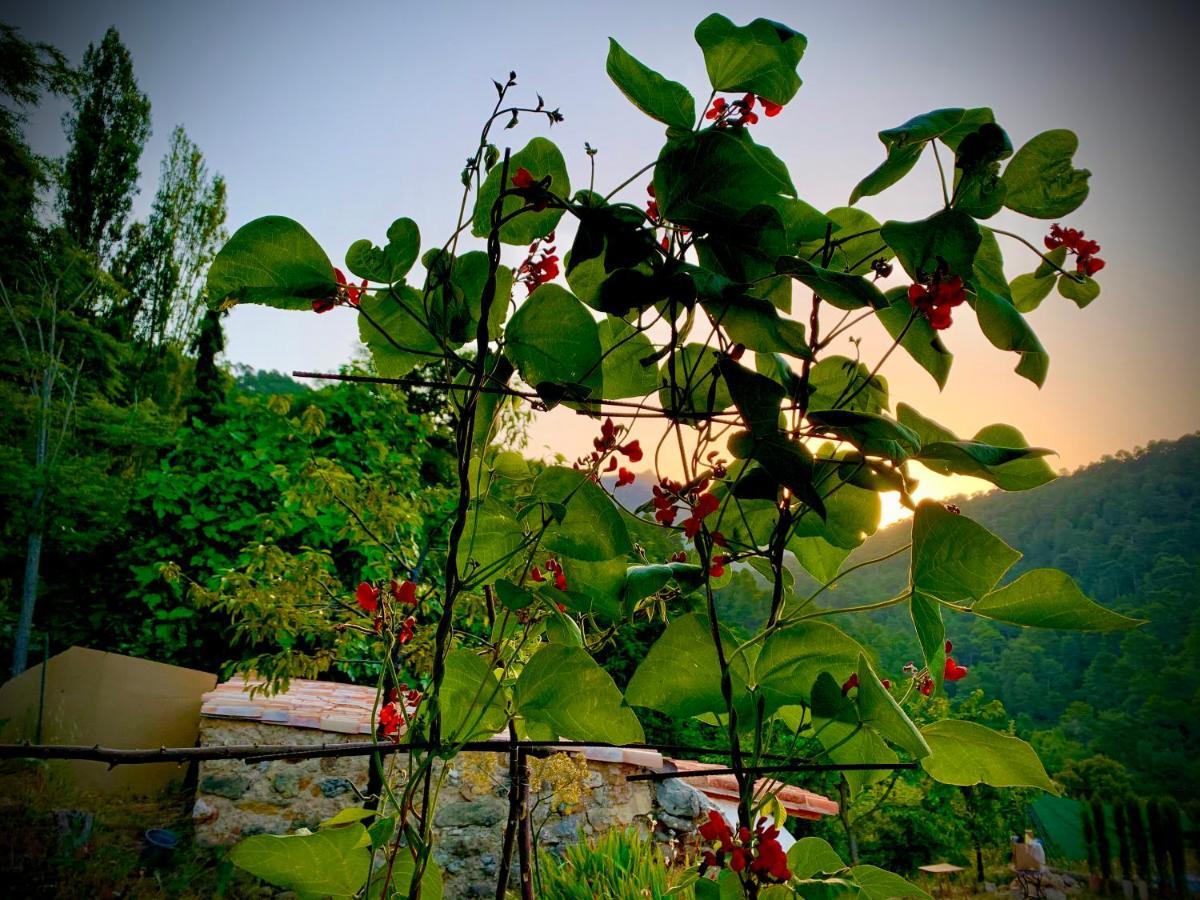 Casa Tatisita Luna Segura de la Sierra Ngoại thất bức ảnh