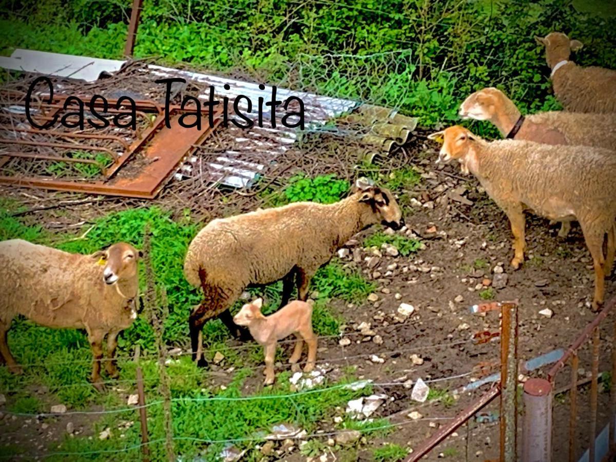 Casa Tatisita Luna Segura de la Sierra Ngoại thất bức ảnh